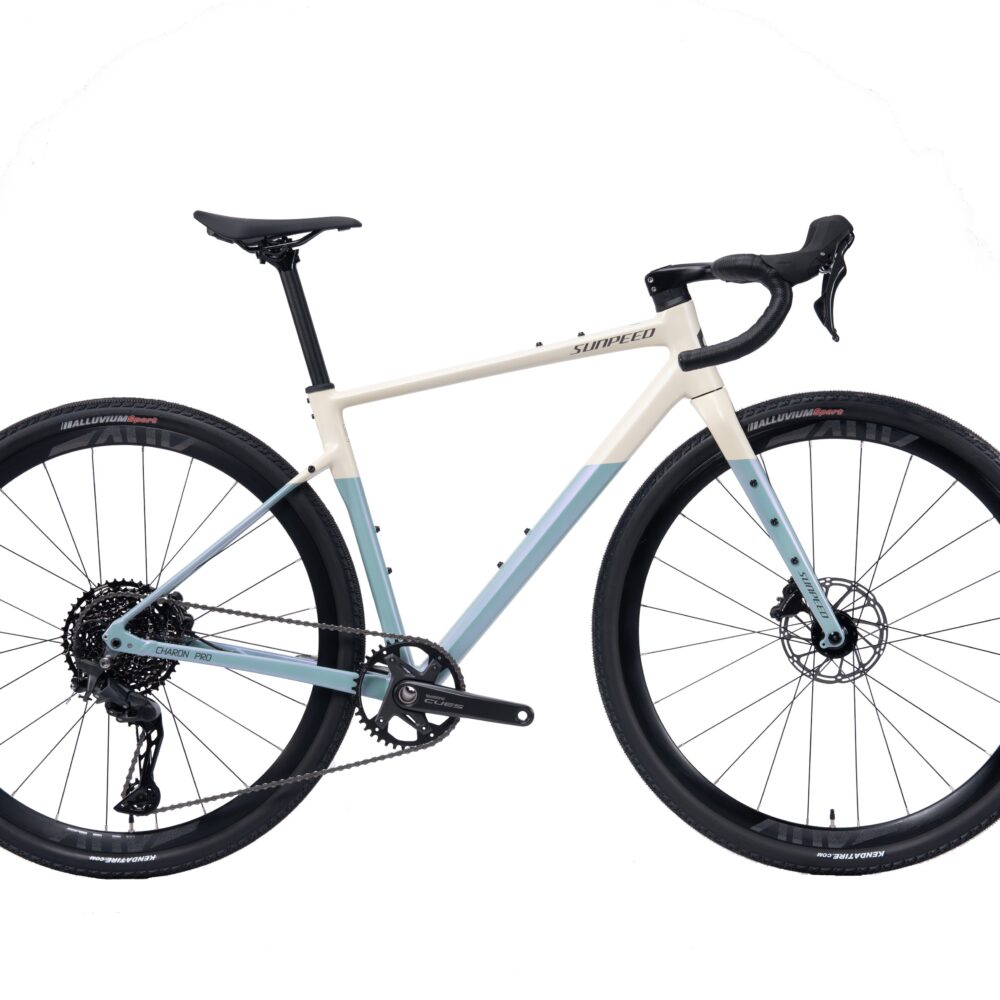 Sunpeed Charon Pro 11S - Gris - Celeste, M